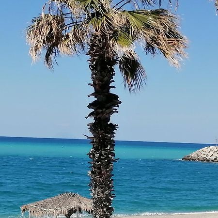 Eneide Bed & Breakfast Palmi Dış mekan fotoğraf