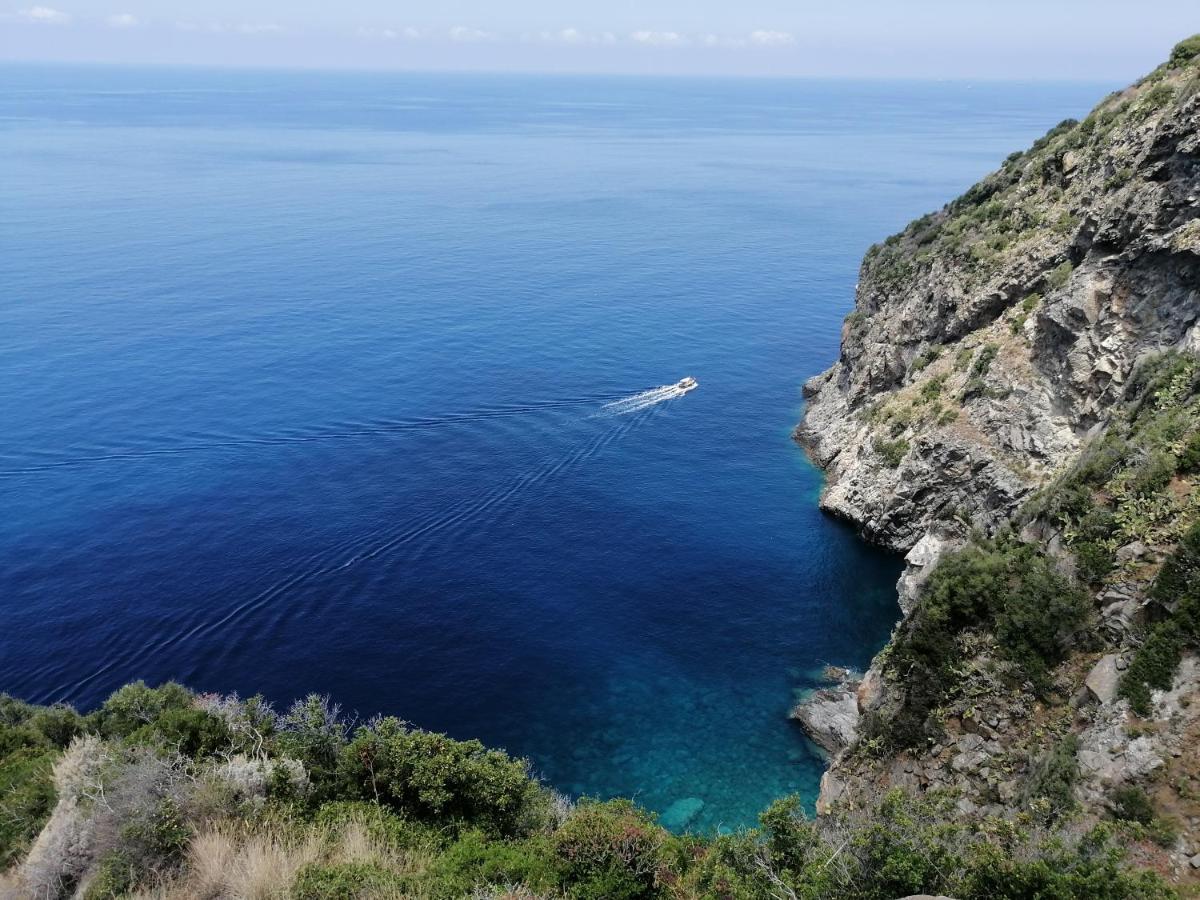Eneide Bed & Breakfast Palmi Dış mekan fotoğraf