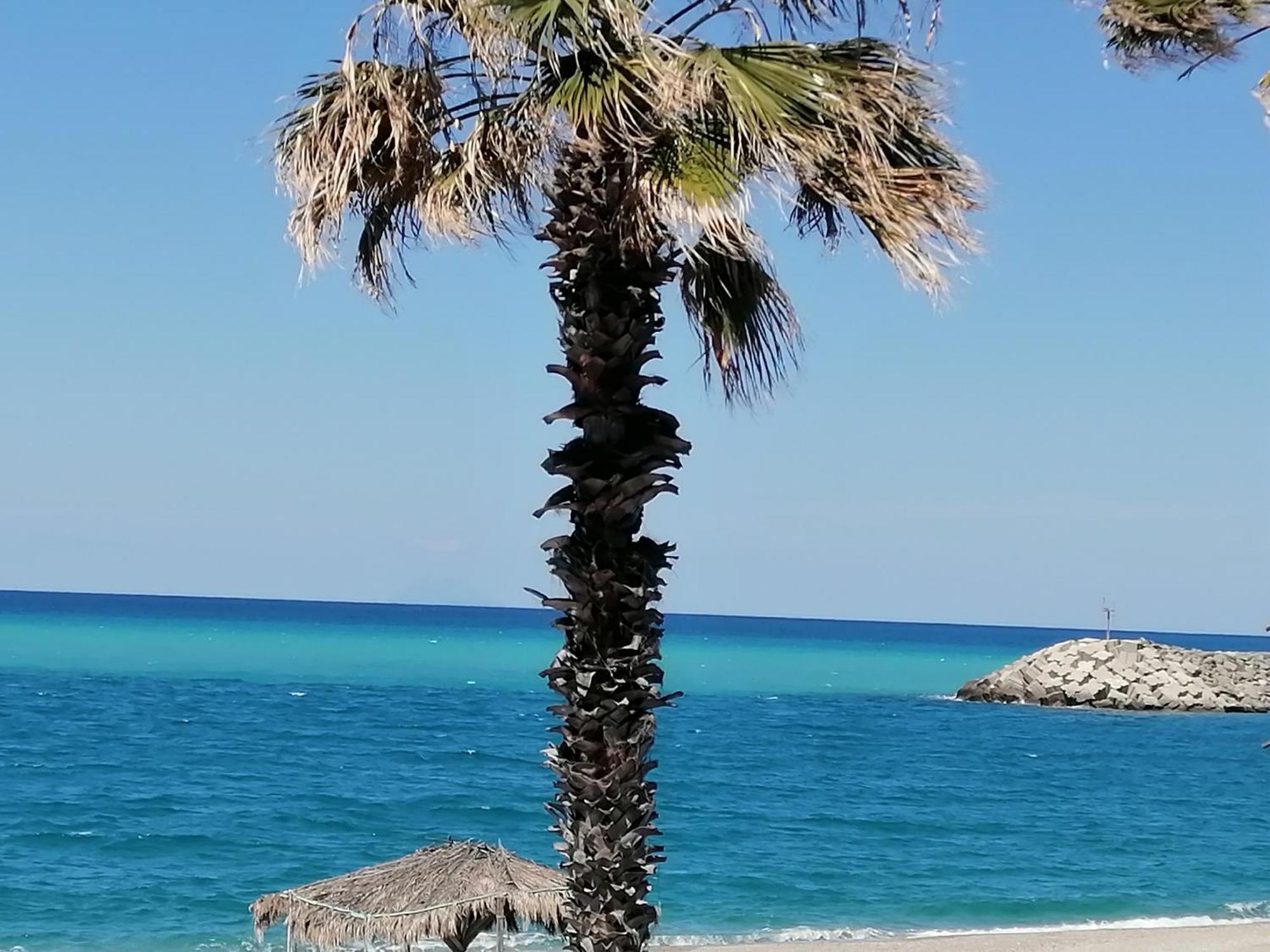 Eneide Bed & Breakfast Palmi Dış mekan fotoğraf